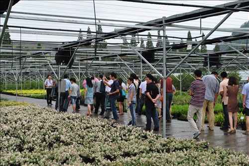 电竞比赛押注app