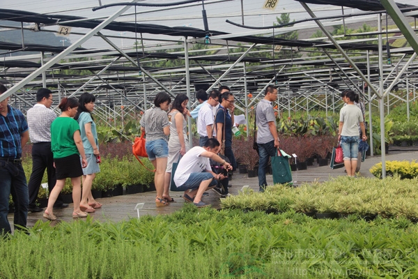 电竞比赛押注app