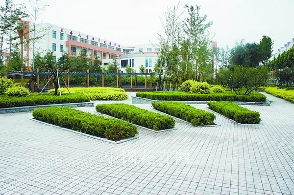 电竞比赛押注app