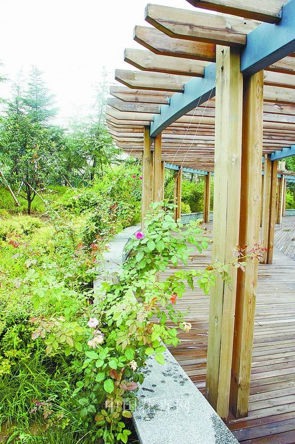 电竞比赛押注app