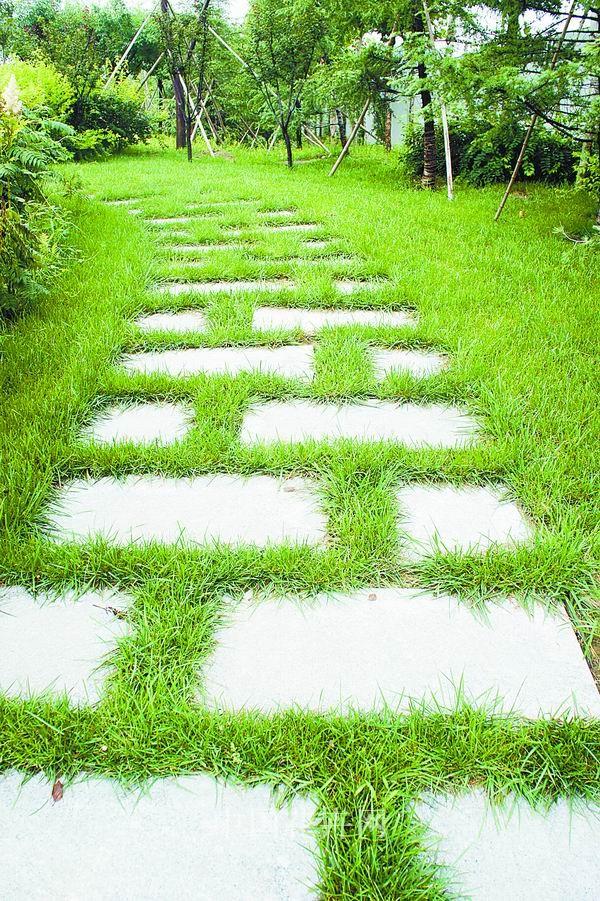 电竞比赛押注app