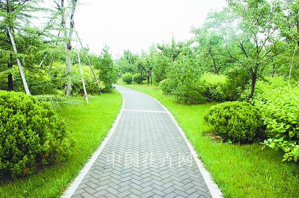 电竞比赛押注app