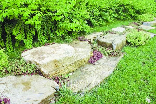 电竞比赛押注app