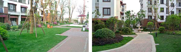 电竞比赛押注app