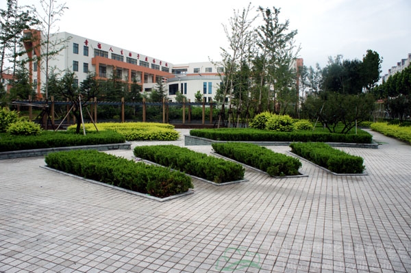 电竞比赛押注app