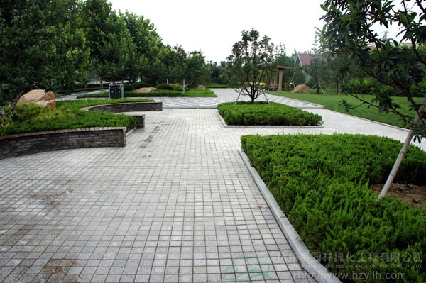 电竞比赛押注app