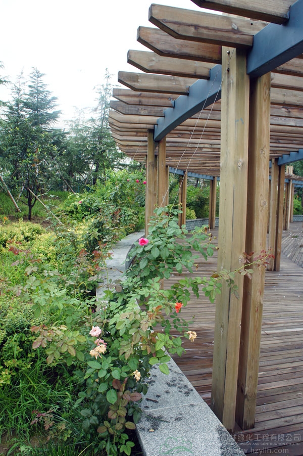 电竞比赛押注app