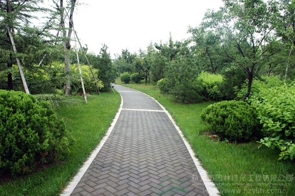 电竞比赛押注app