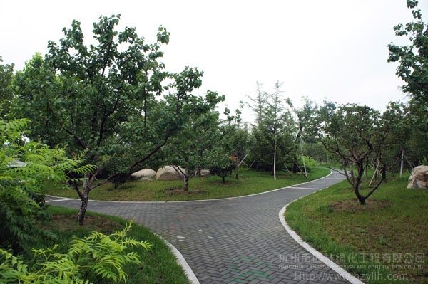 电竞比赛押注app