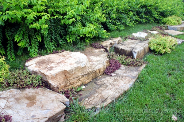 电竞比赛押注app