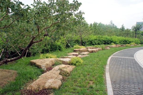 电竞比赛押注app