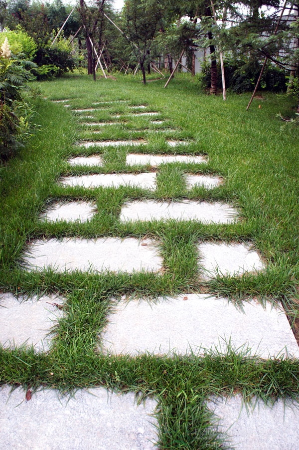 电竞比赛押注app