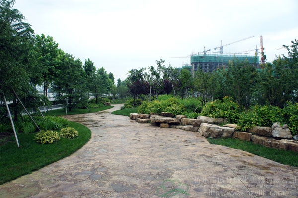 电竞比赛押注app