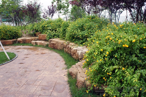 电竞比赛押注app