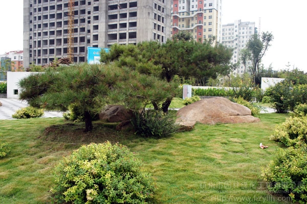 电竞比赛押注app