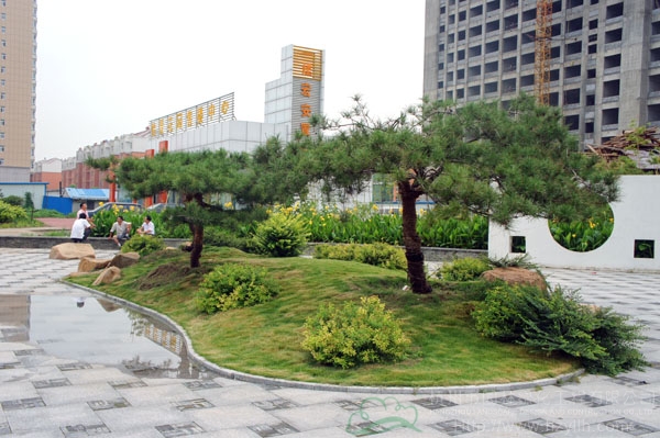 电竞比赛押注app