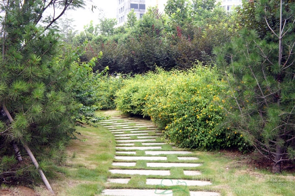 电竞比赛押注app