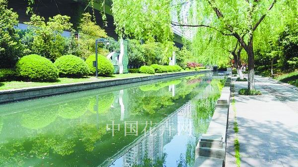 电竞比赛押注app