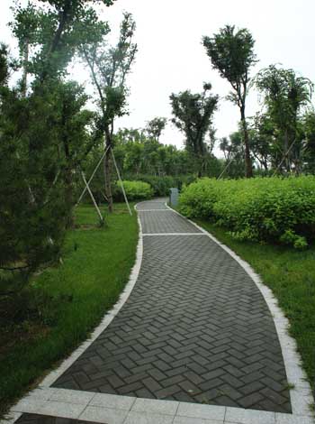 电竞比赛押注app