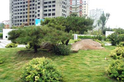 电竞比赛押注app