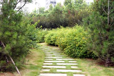 电竞比赛押注app