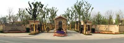 电竞比赛押注app