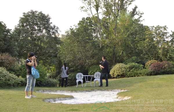 电竞比赛押注app