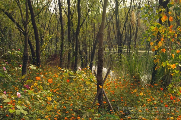 电竞比赛押注app