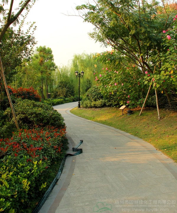 电竞比赛押注app