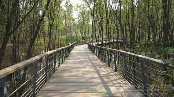 电竞比赛押注app