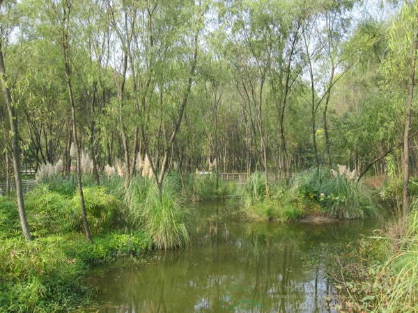 电竞比赛押注app