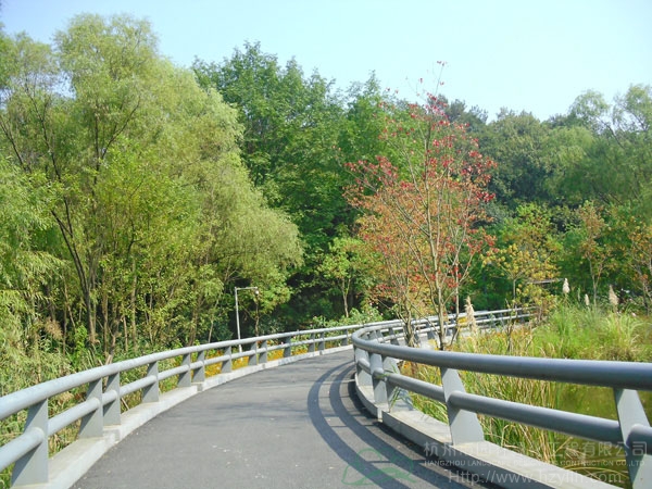 电竞比赛押注app