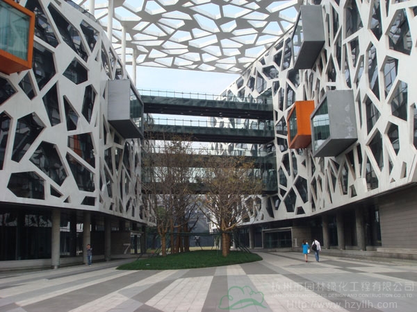 电竞比赛押注app