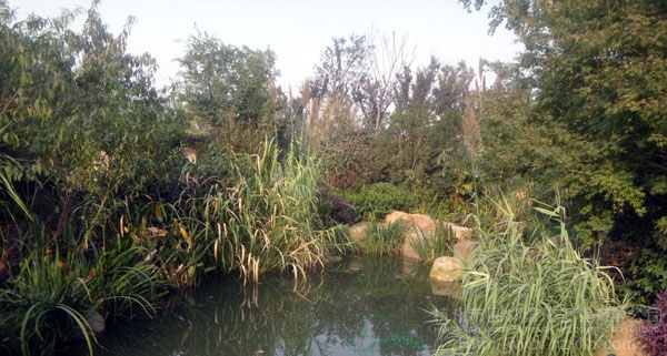 电竞比赛押注app