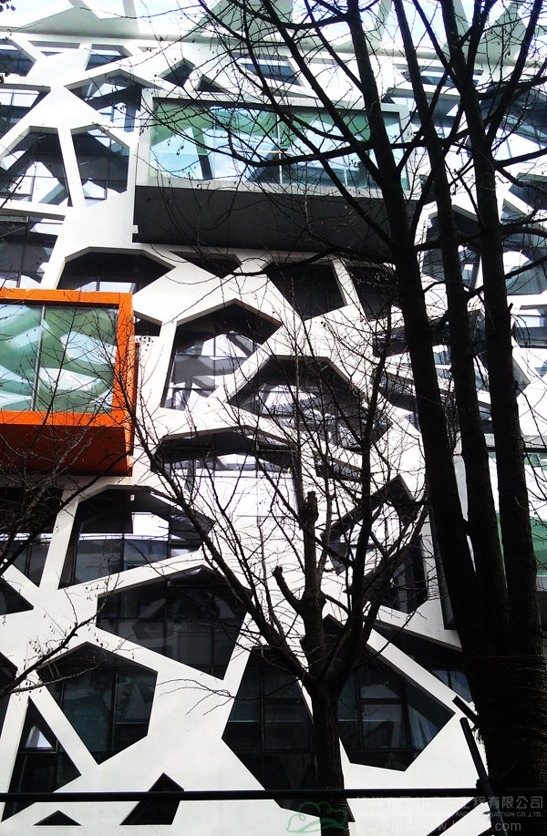 电竞比赛押注app