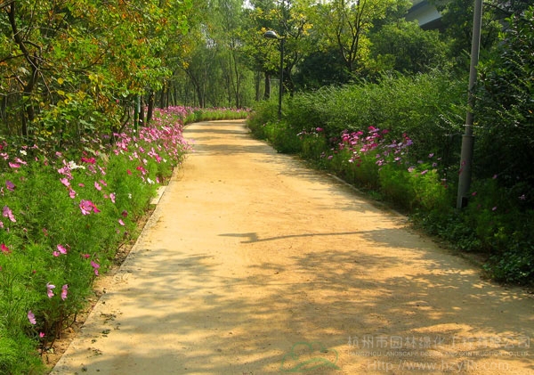 电竞比赛押注app