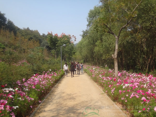 电竞比赛押注app