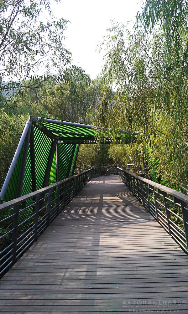 电竞比赛押注app