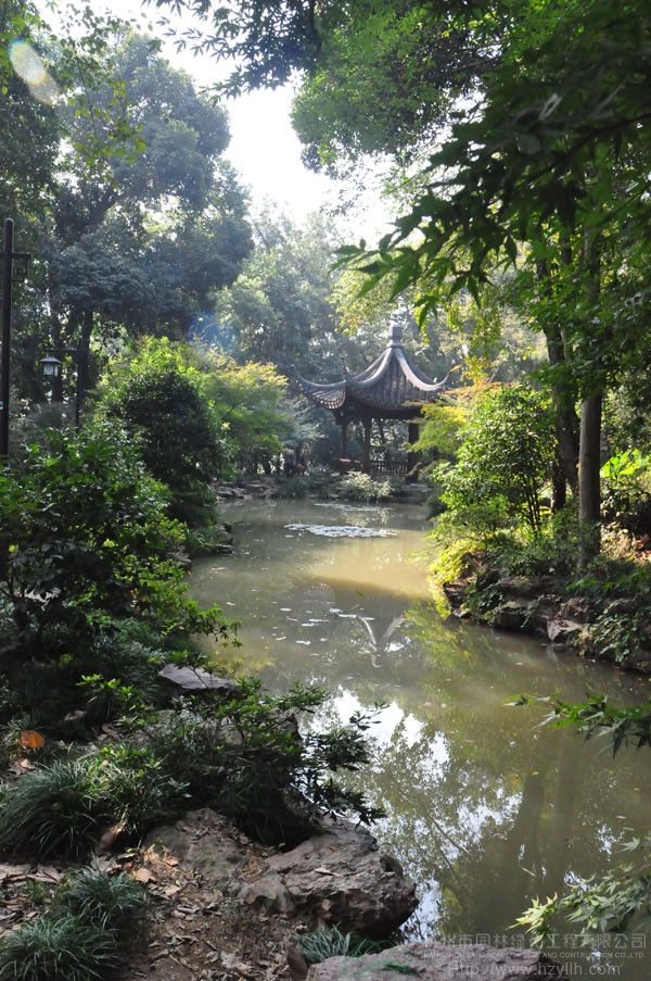 电竞比赛押注app