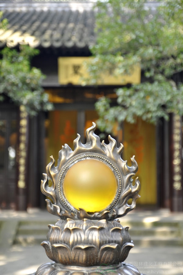 电竞比赛押注app