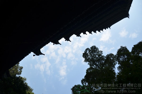 电竞比赛押注app