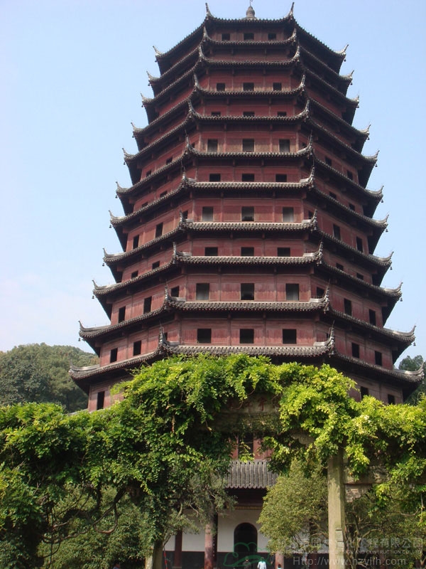 电竞比赛押注app