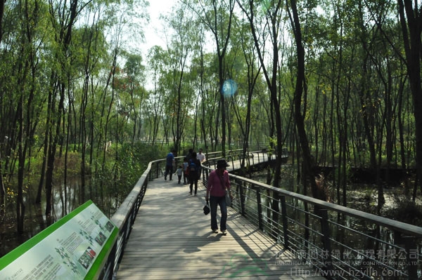 电竞比赛押注app