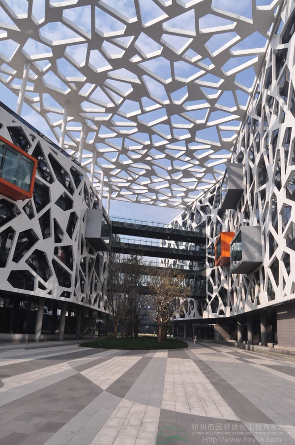 电竞比赛押注app