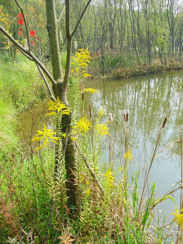 电竞比赛押注app