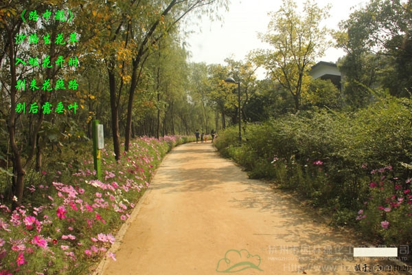 电竞比赛押注app