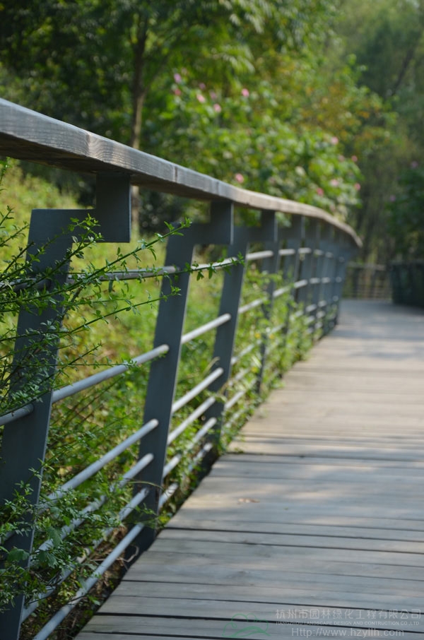 电竞比赛押注app