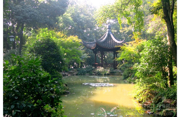 电竞比赛押注app