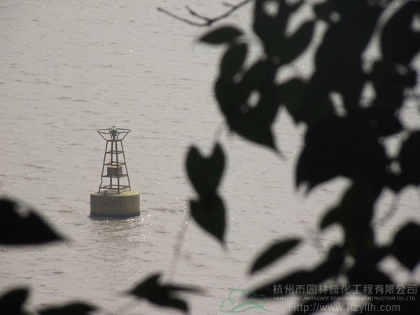 电竞比赛押注app