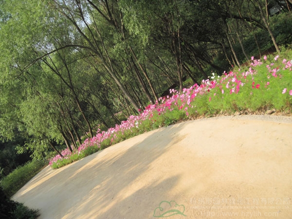 电竞比赛押注app